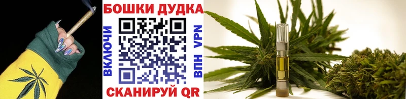 Канабис планчик  наркотики  Горбатов 